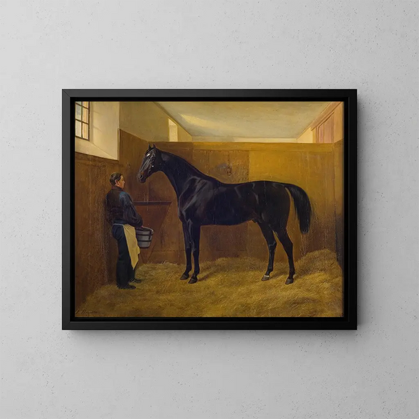 Zampa - Fritz Thomsen — gerahmtes Bild an der Wand