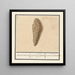 Lightning Stone Fulgurite - Anselmus Botius de Boodt — framed artwork on a wall