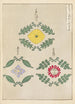 Bijutsukai Pl226 - Furuya Korin — Ansicht des Kunstwerks