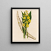 Cyrtopodium glutiniferum - Gaetano Savi — gerahmtes Bild an der Wand