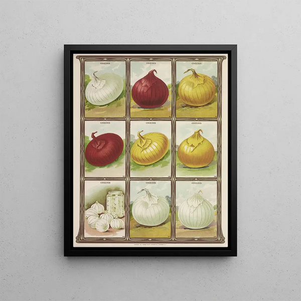 Genesee Valley Lithograph Co - Onions.webp