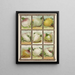 Navet - Genesee Valley Lithograph & Co.. — gerahmtes Bild an der Wand