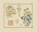 Conception astratta basata su fiori e foglie - George Auriol — vista dell’opera