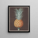 Der braune Kiefernbaum von La Havane - George Brookshaw — gerahmtes Bild an der Wand