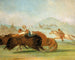 Baptiste e me che corriamo alla bocca del bufalo dello Yellowstone - George Catlin — vista dell’opera