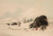 Bison in einer Schneeverwehung - George Catlin — Ansicht des Kunstwerks
