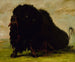 Bison morente colpito da una freccia - George Catlin — vista dell’opera