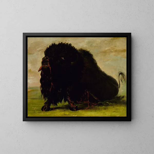 Bison sterbend durch einen Pfeil getroffen - George Catlin — gerahmtes Bild an der Wand