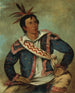 Tartaruga serpentina H-Tchoo-Tc-Knee, una meticcia - George Catlin — vista dell’opera