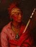 Pas de cœur Nan-che-ning-ga - George Catlin — vista dell’opera