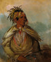 Pah-mee-cw-ee-tah L'uomo che insegue uno chef - George Catlin — vista dell’opera