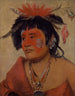 Pah-shee-nu-shaw un guerriero - George Catlin — vista dell’opera