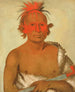 Pasheepah Little Stabbing Chief, il più giovane dei Black Hawks Braves - George Catlin — vista dell’opera