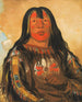 Peh-Tä-Pe-Kiss Eagles konfrontiert einen Häuptling der Piegan - George Catlin — Ansicht des Kunstwerks