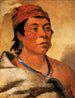 Rundinsel, ein Krieger - George Catlin — Ansicht des Kunstwerks