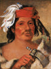 Sénèque Steele, un grande libertino - George Catlin — vista dell’opera
