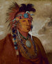 Sh-Me-Ks Vedere il lupo come un capo - George Catlin — vista dell’opera