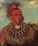 Shon-Ta-Yi-Ga Petit Loup, un guerriero famoso - George Catlin — vista dell’opera