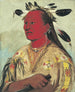 Stnaupat Main Sanglante Chef de la Tribu - George Catlin — vista dell’opera