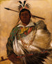 Th-Ke-Nh-Kee Schwarzer Mantel ein Chef - George Catlin — Ansicht des Kunstwerks