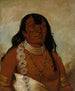 Th-Tot-Sah besser bekannt unter dem Namen Tohausen Little Bluff First Chief - George Catlin — Ansicht des Kunstwerks