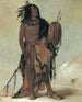 Wnnestou White Buffalo, un vecchio guaritore - George Catlin — vista dell’opera
