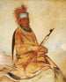WyEeYogh Uomo di buon senso un uomo coraggioso - George Catlin — vista dell’opera