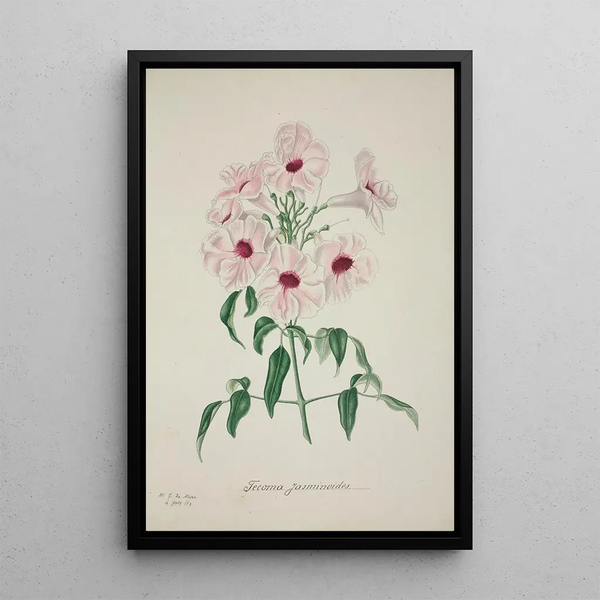 George De Alwis - Mon Jardin a Ceylan Pl013.webp