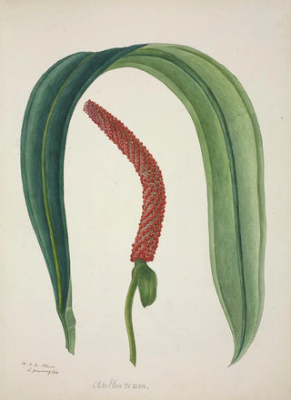 George De Alwis - Mon Jardin a Ceylan Pl041.webp