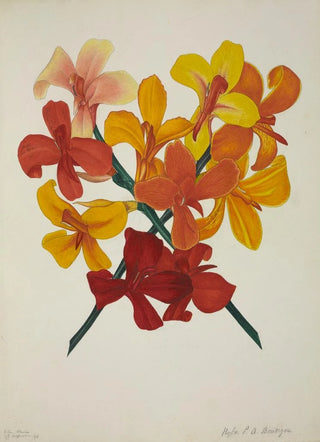 George De Alwis - Mon Jardin a Ceylan Pl051.webp