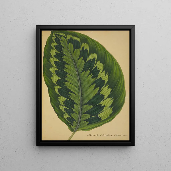 George De Alwis - Mon Jardin a Ceylan Pl090.webp