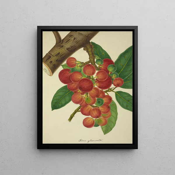 George De Alwis - Mon Jardin a Ceylan Pl154.webp