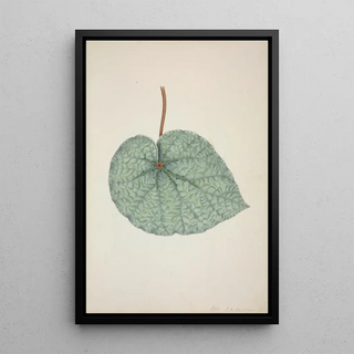 George De Alwis - Mon Jardin a Ceylan Pl162.webp