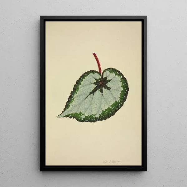George De Alwis - Mon Jardin a Ceylan Pl178.webp