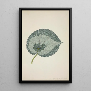 George De Alwis - Mon Jardin a Ceylan Pl179.webp