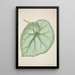 Mein Garten in Ceylan Pl188 - George De Alwis — gerahmtes Bild an der Wand