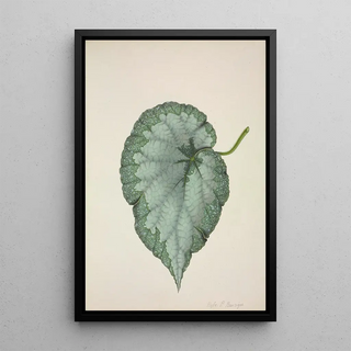 George De Alwis - Mon Jardin a Ceylan Pl192.webp