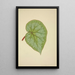 Mein Garten in Ceylan Pl193 - George De Alwis — gerahmtes Bild an der Wand