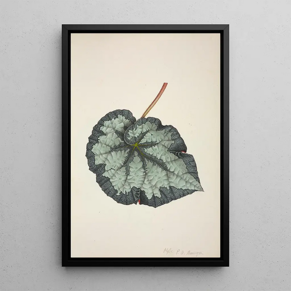 George De Alwis - Mon Jardin a Ceylan Pl219.webp