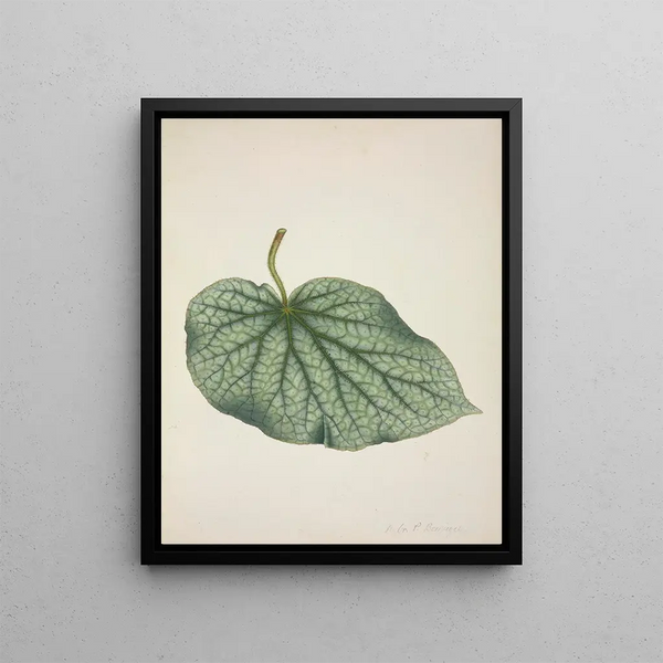 George De Alwis - Mon Jardin a Ceylan Pl220.webp