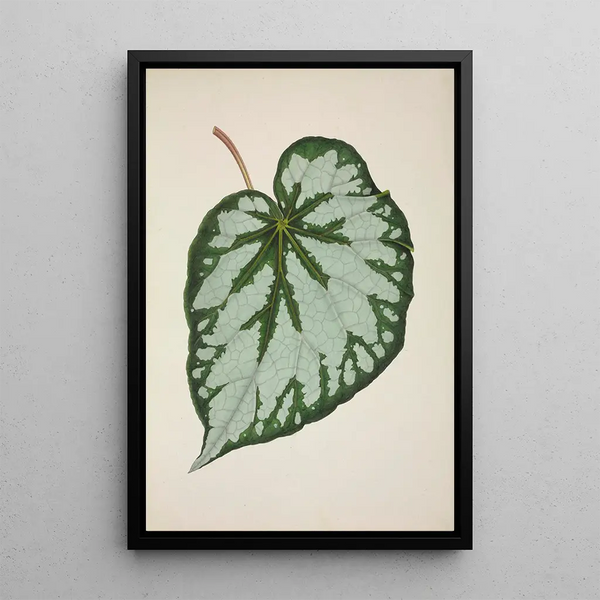 George De Alwis - Mon Jardin a Ceylan Pl228.webp