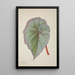 Mon Jardin à Ceylan Pl232 - George De Alwis — quadro incorniciato alla parete