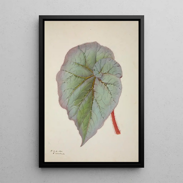 George De Alwis - Mon Jardin a Ceylan Pl232.webp