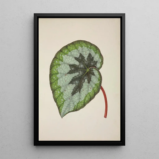 George De Alwis - Mon Jardin a Ceylan Pl237.webp