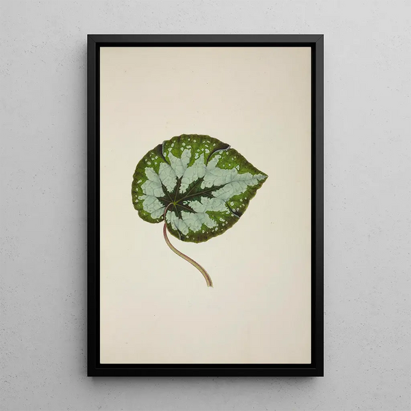 George De Alwis - Mon Jardin a Ceylan Pl245.webp