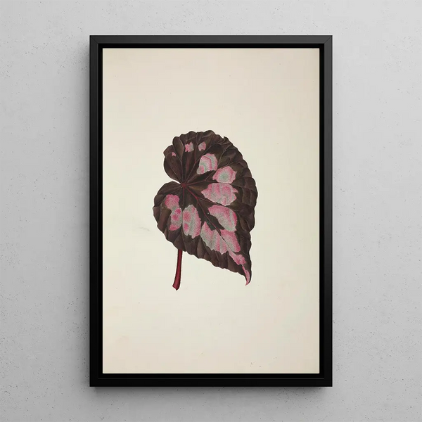 George De Alwis - Mon Jardin a Ceylan Pl249.webp