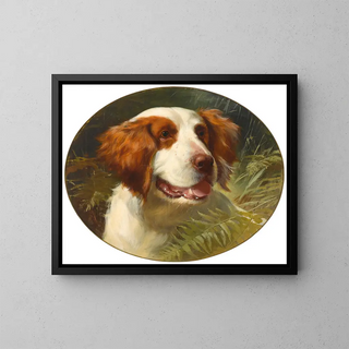 George Earl - A Brittany spaniel.webp