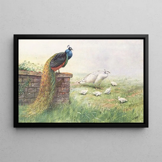 George Edward Lodge - BlackWinged Peafowl.webp
