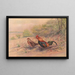 Coq bankiva - George Edward Lodge — quadro incorniciato alla parete