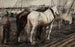 Pferde bei der Arbeit im Houthaven, Amsterdam - George Hendrik Breitner — Ansicht des Kunstwerks